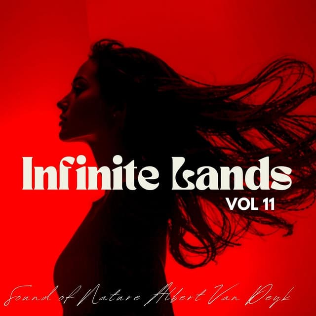 Infinite Lands, Vol. 11 - Albert Van Deyk
