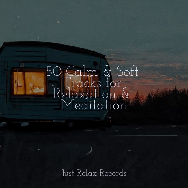 50 Calm & Soft Tracks for Relaxation & Meditation - Happy Baby Lullaby Collection