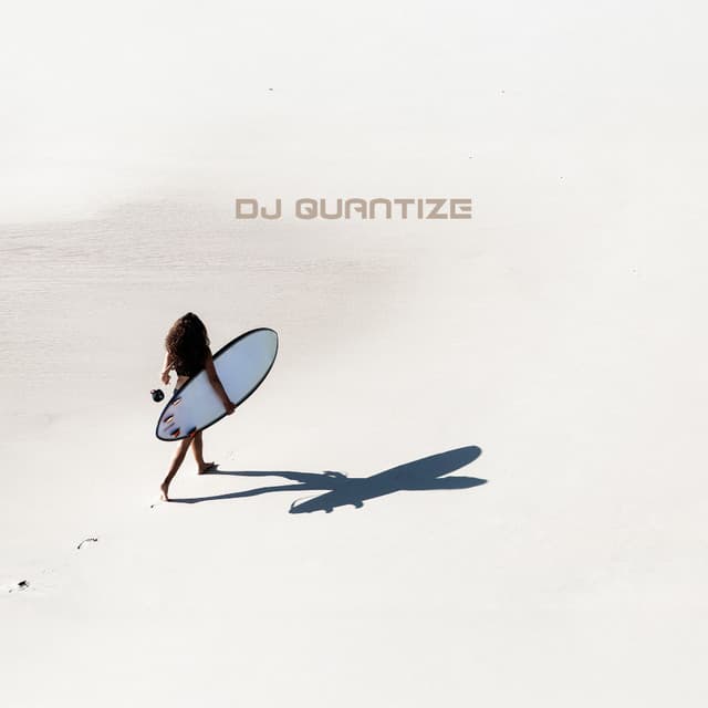 While We Wait - DJ Quantize