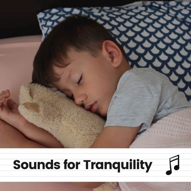 Sounds for Tranquility - The Sleep Principle