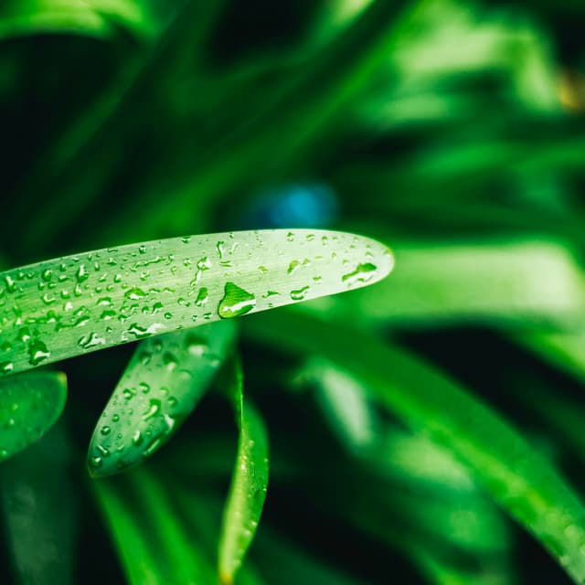 50 Rhythmic Storms: Limitless Thinking Frequencies - Meditation Rain Sounds