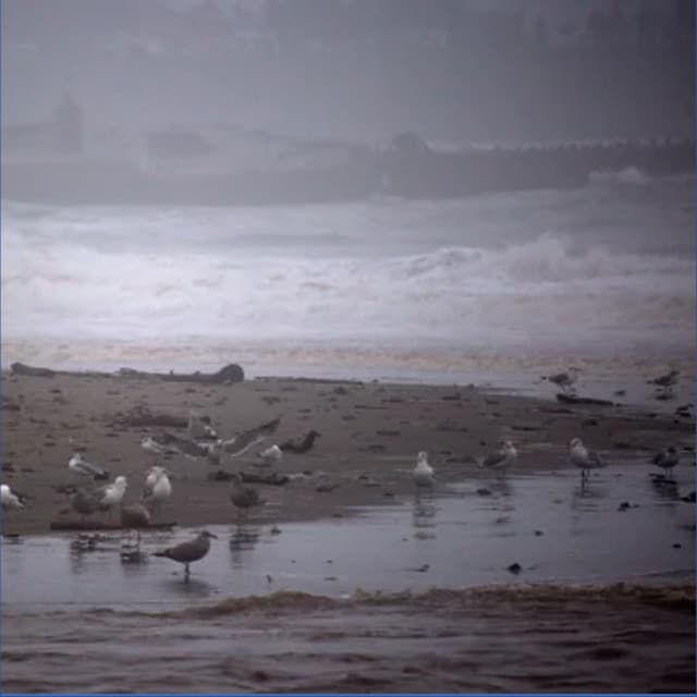 A Stormy Day at the Beach - Zen Meditate