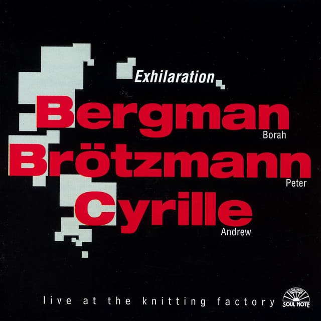 Exhilaration - Borah Bergman