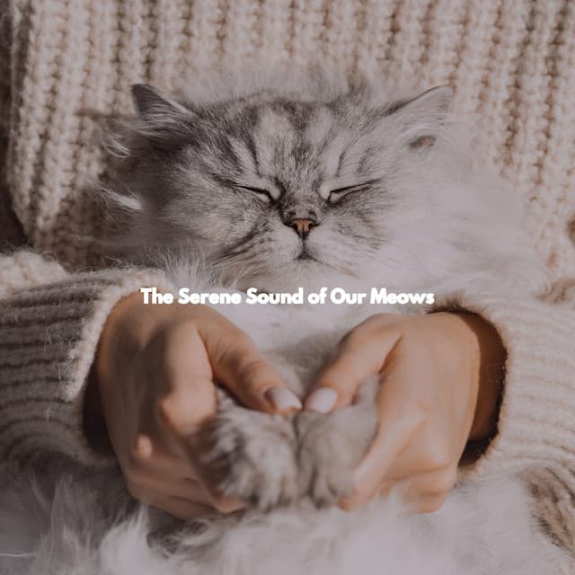 The Serene Sound of Our Meows - Lavoro da Casa Musica Di Sottofondo