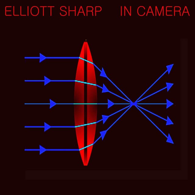 In Camera - Elliott Sharp