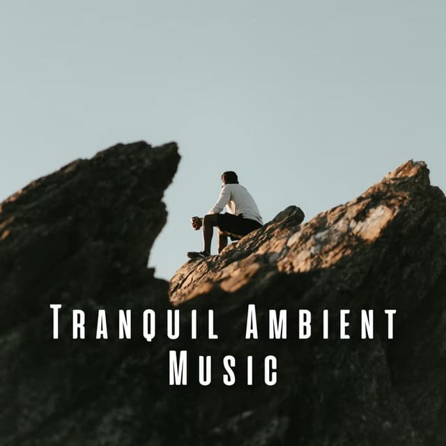 Tranquil Ambient Music - Joyful Harmony Music