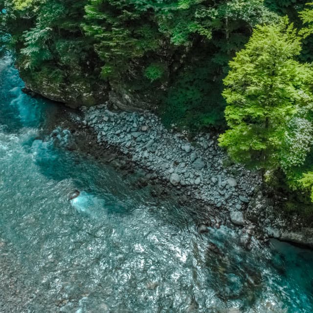 Calm Serenata by Stream: Gentle Waters' Lull - Underwater Sound