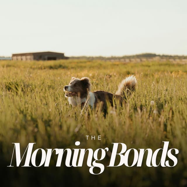 Morning Bonds - Puppy Music