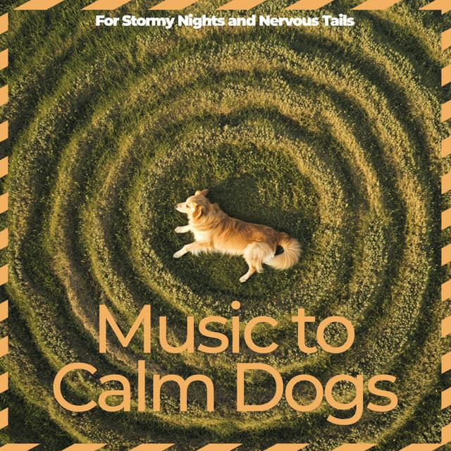 Music to Calm Dogs – For Stormy Nights and Nervous Tails - Relaxmydog