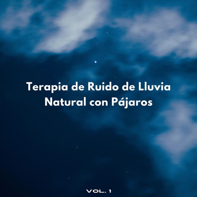 Terapia De Ruido De Lluvia Natural Con Pájaros Vol. 1 - Sonidos de lluvia y ruido de fondo
