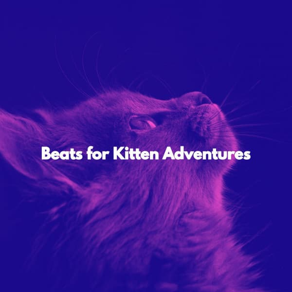 Beats for Kitten Adventures - Jazz Instrumental Chill