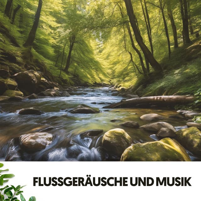 Flüsse und Bäche: Melodien des fließenden Wassers - Cat Music Therapy