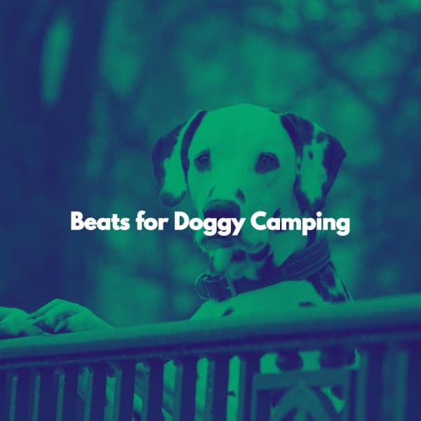 Beats for Doggy Camping - Norway Jazz Norge