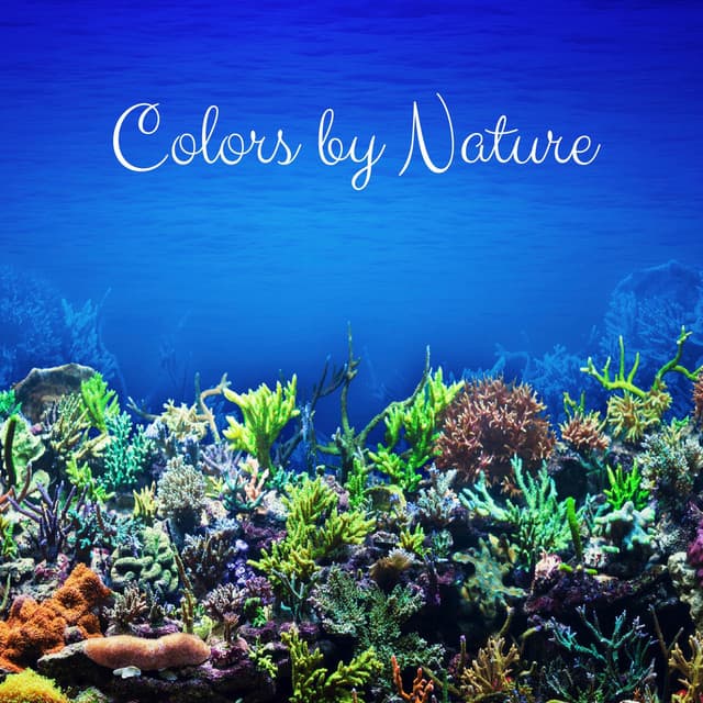 Colors by Nature - Yoga Sounds