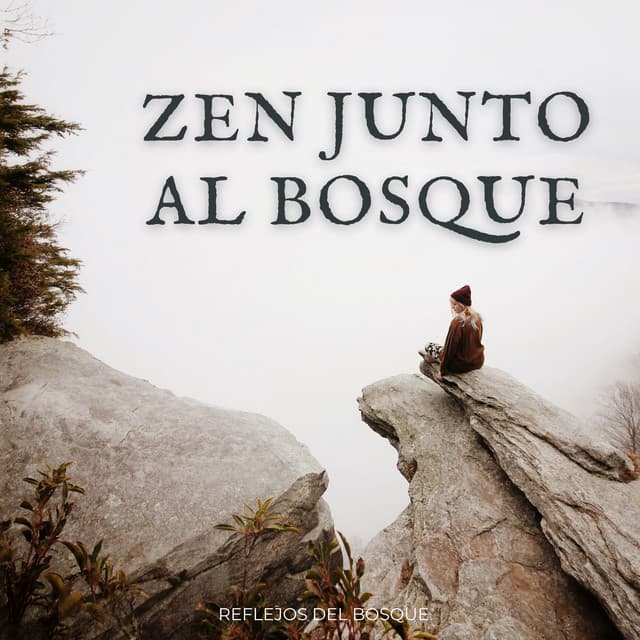 Zen Junto Al Bosque: Reflejos Del Bosque - Calma ASMR White Soughs