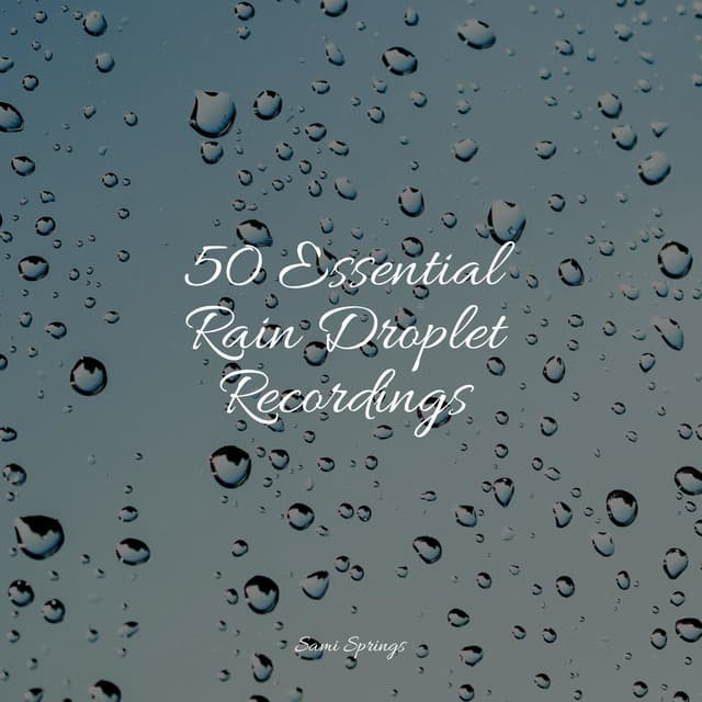 50 Essential Rain Droplet Recordings - Masters of Binaurality