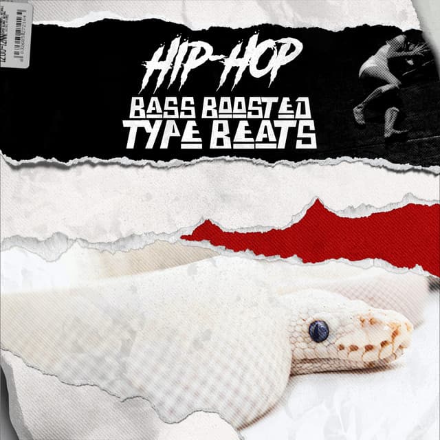 HipHop Bass Boosted Type Beats - Bass Boosted Beats