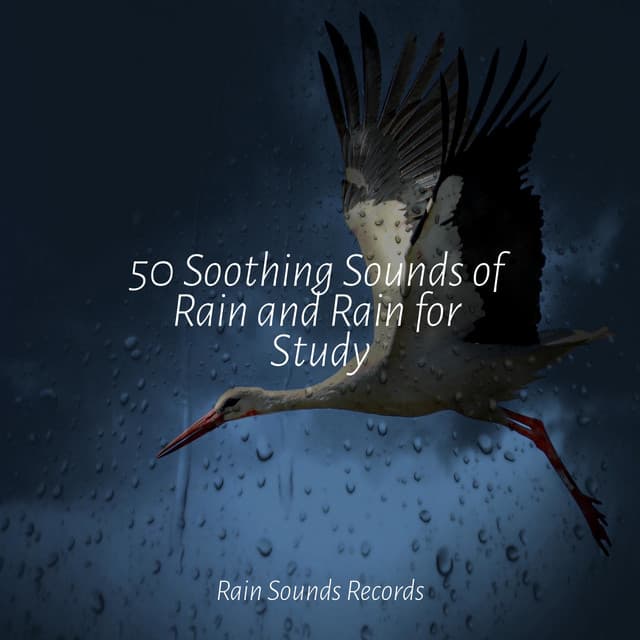 50 Soothing Sounds of Rain and Rain for Study - Calm Music for Studying