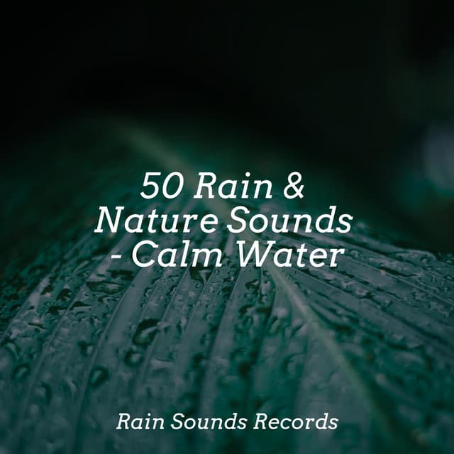 50 Rain & Nature Sounds - Calm Water - Nature Sounds