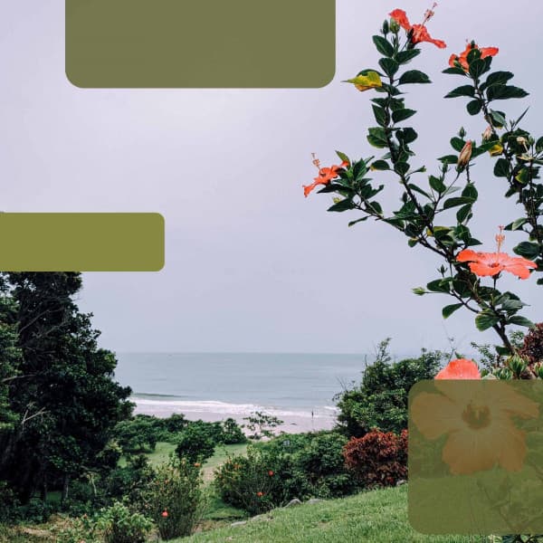 Background Music - Calming Moments - Mellow Sunday Morning Music