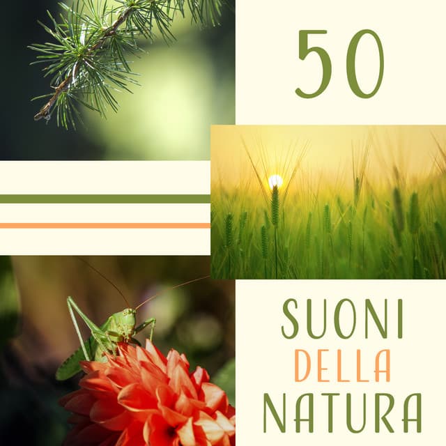 50 Suoni della natura - Suoni naturali zen