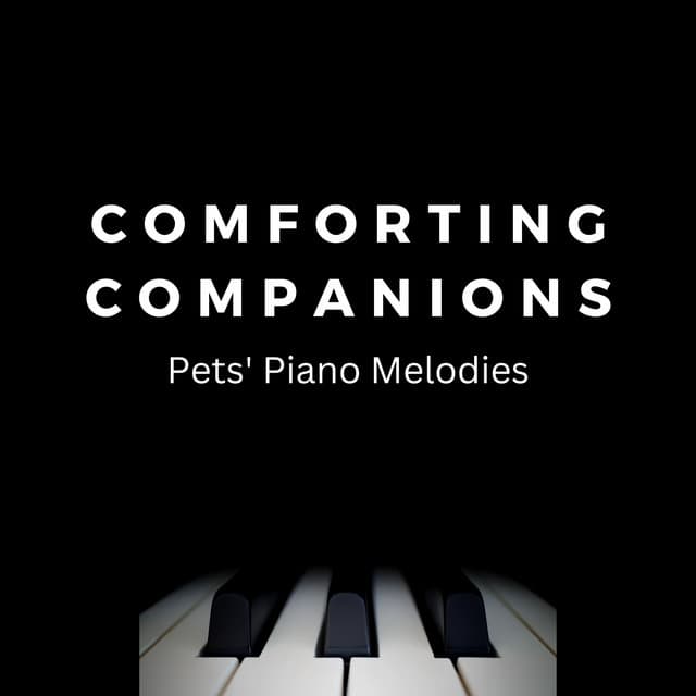 Comforting Companions: Pets' Piano Melodies - Vincent & A Secret
