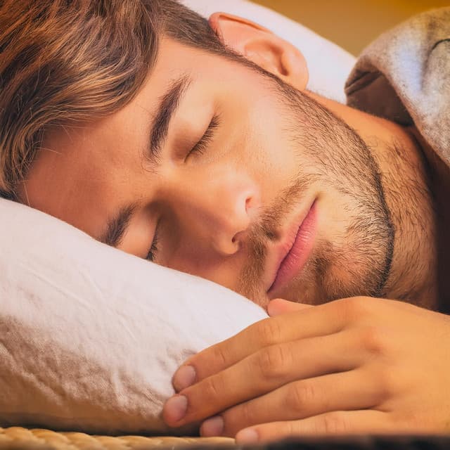 Sonidos Relajantes Nocturnos Para Un Sueño Profundo - Búsqueda silenciosa