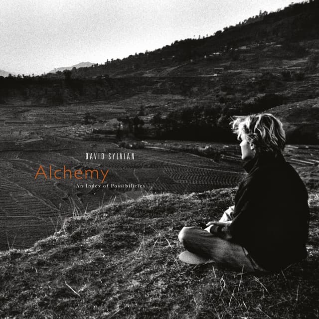 Alchemy: An Index Of Possibilities - David Sylvian