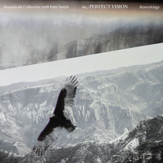 The Perfect Vision Reworkings - Soundwalk Collective