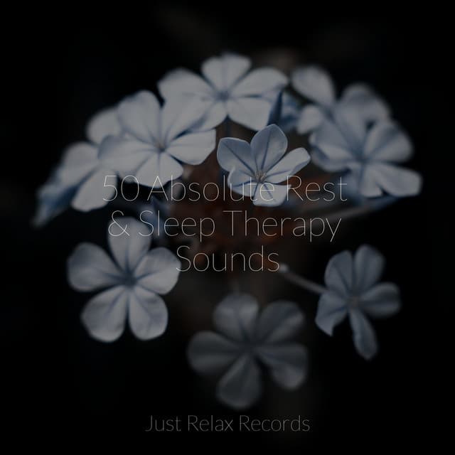 50 Absolute Rest & Sleep Therapy Sounds - Relajacion Del Mar