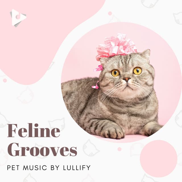 Feline Grooves - Pet Music by Lullify