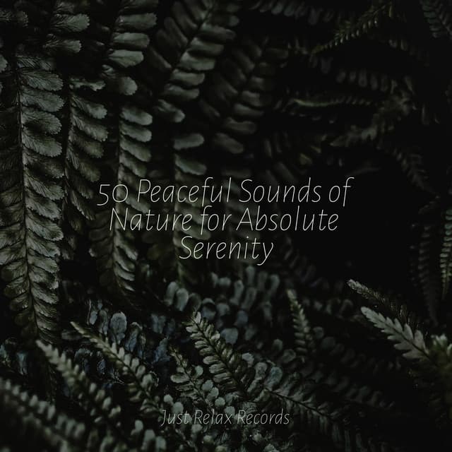 50 Peaceful Sounds of Nature for Absolute Serenity - Música a Relajarse