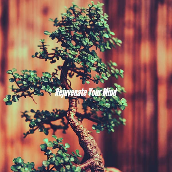 Rejuvenate Your Mind - Relaxing Jazz Music