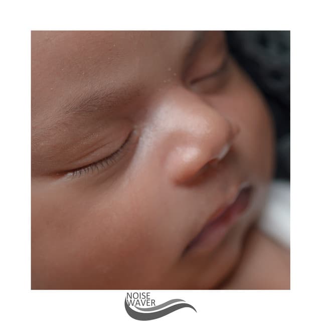 Cosy Low Noise - The White Noise Travelers