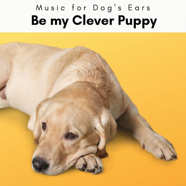 1 Be my Clever Puppy - Music for Dog's Ears