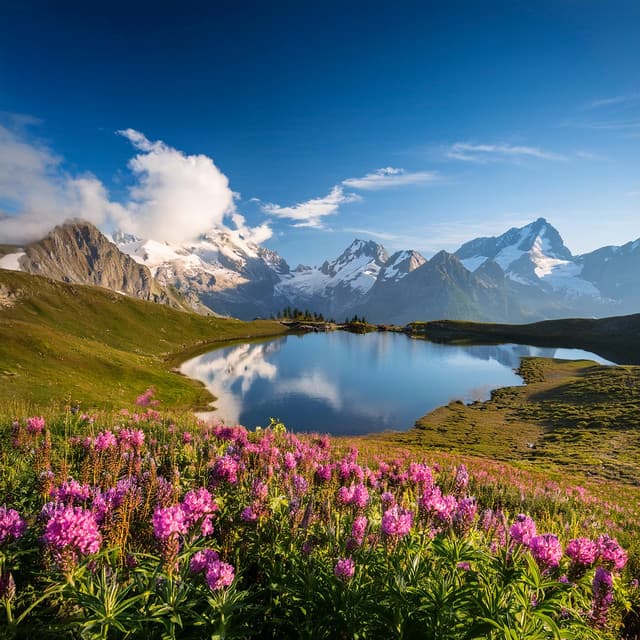 Armonía Y Paz: Música Para Relajarse - Vibraciones de Serenidad