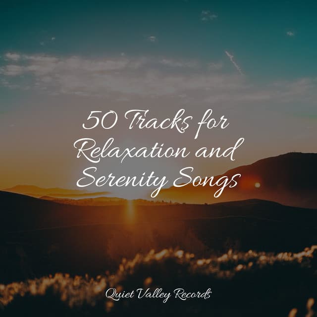 50 Tracks for Relaxation and Serenity Songs - Forest Soundscapes