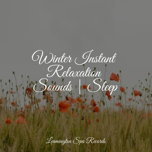 Winter Instant Relaxation Sounds | Sleep - Lightning