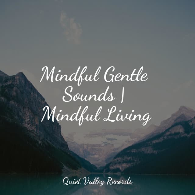 Mindful Gentle Sounds | Mindful Living - Sleep Recording Sounds