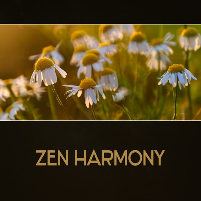 Zen Meditation Harmony – Spiritual Meditation, New Age Music, Emotional Balance, Deep Zen, Yoga Exercises for Calming Down, Spirituality, Enlightenment, Inner Peace - Natural Balance Zone