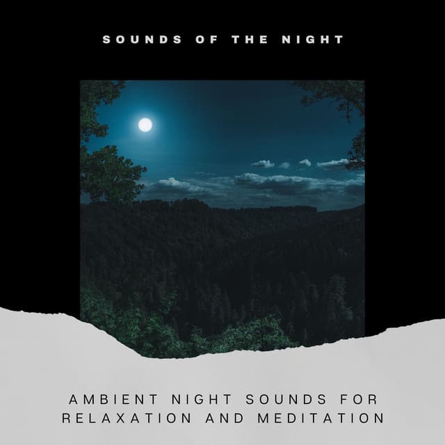 Ambient Night Sounds for Relaxation and Meditation - Sounds of the Night