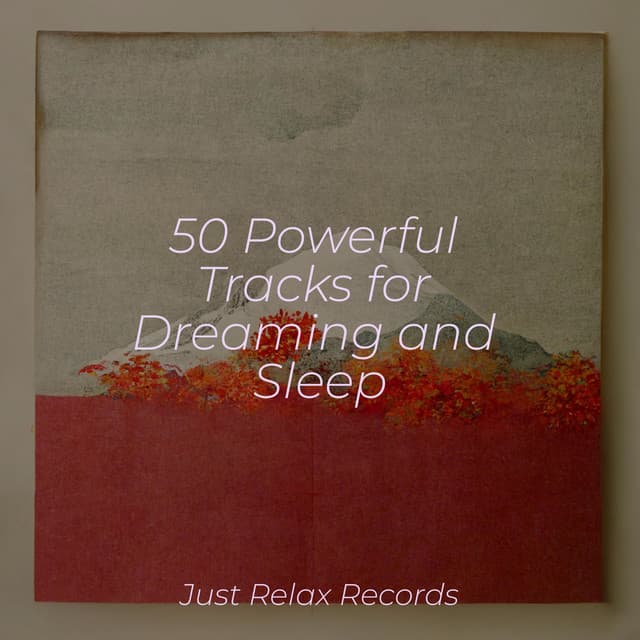 50 Powerful Tracks for Dreaming and Sleep - Calming Sounds