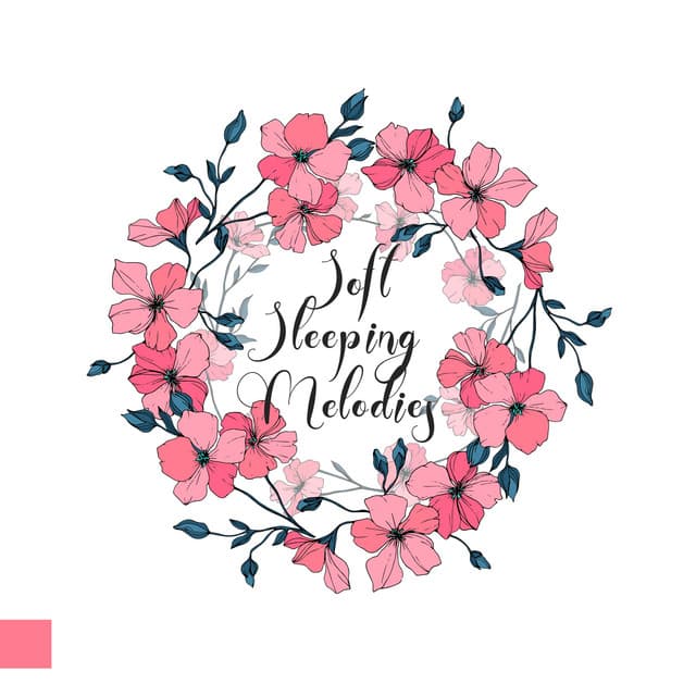 Soft Sleeping Melodies - Soft Sleeping Melodies