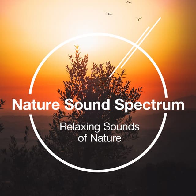 Nature Sound Spectrum - Relaxing Sounds Of Nature