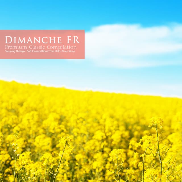 Soft Classical Music That Helps Deep Sleep - Dimanche FR