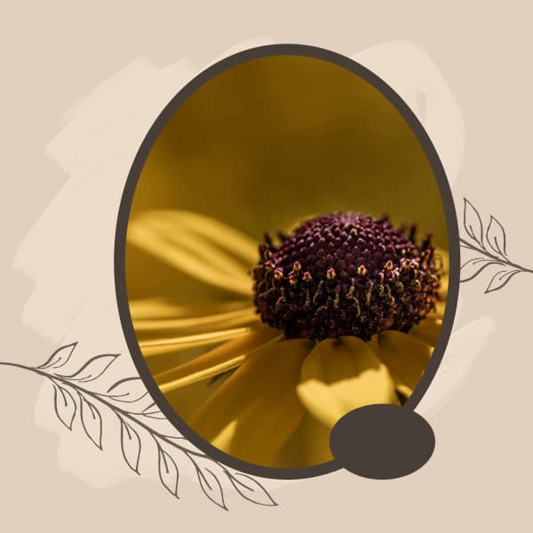 Music - Calming Moments - Happy Coffee Shop Music