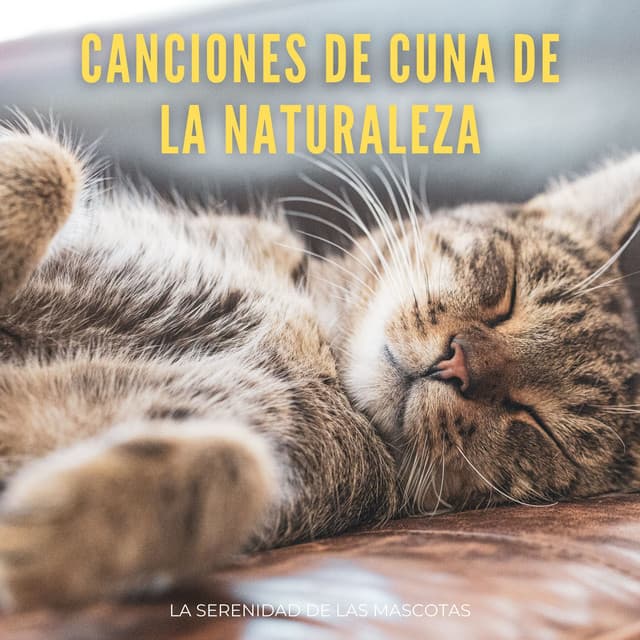 Canciones De Cuna De La Naturaleza: La Serenidad De Las Mascotas - Sonido natural del bosque