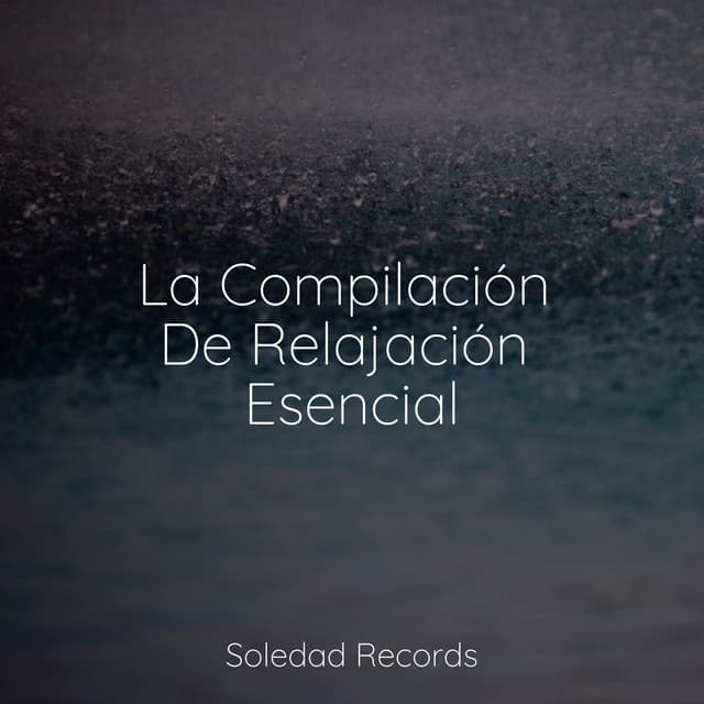 La Compilación De Relajación Esencial - Natureza