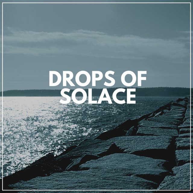 Drops of Solace - Sample Rain Library