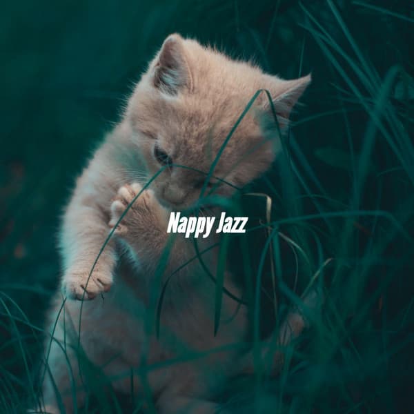 Nappy Jazz - Cafe Music Deluxe